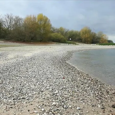 Hübsches In Ehemaliger Gärtnerei