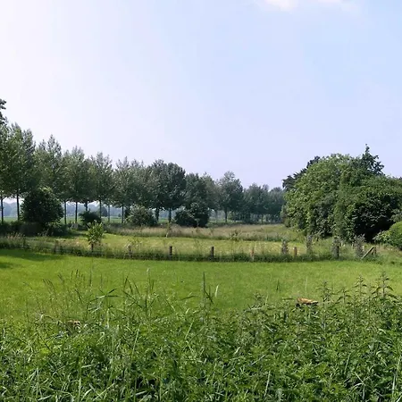 Huebsches In Ehemaliger Gaertnerei מירבוש