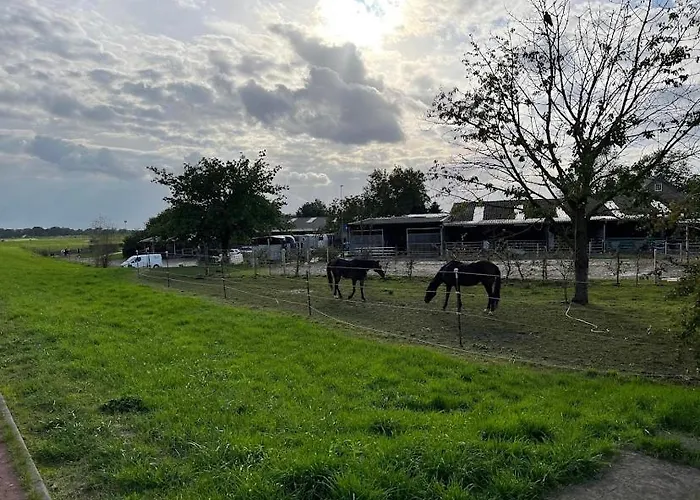 Huebsches In Ehemaliger Gaertnerei Feriehus