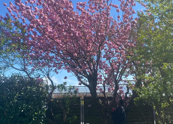 Huebsches In Ehemaliger Gaertnerei Feriehus *